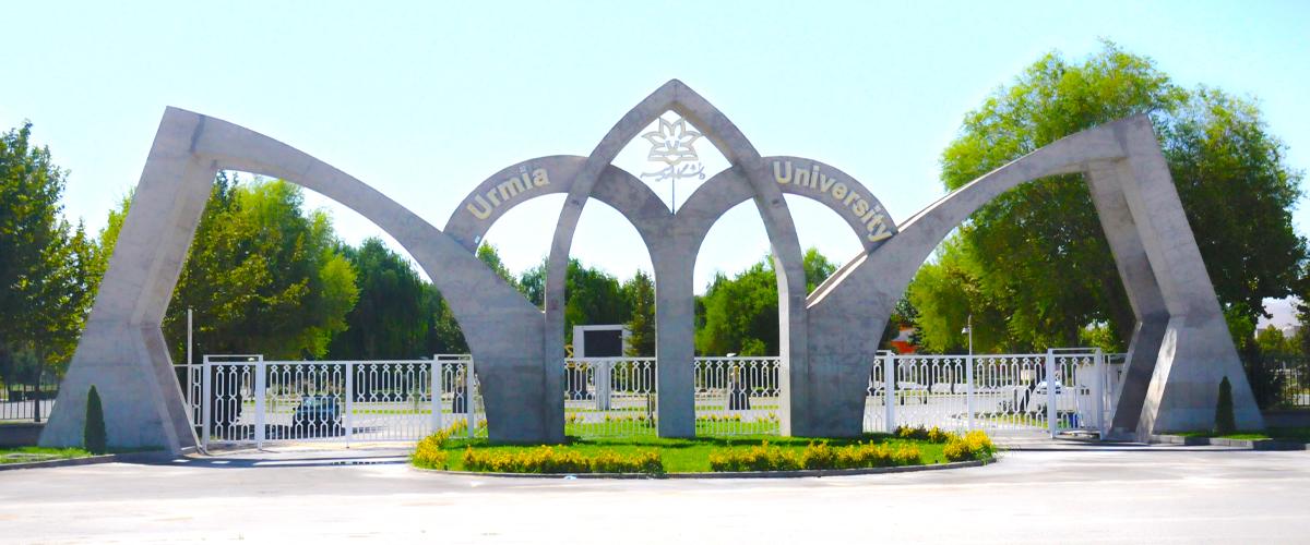 دانشگاه